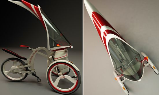 roadrunner trike 1