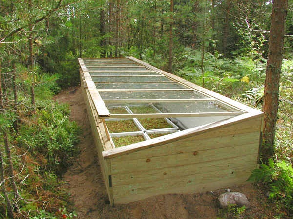 Roof of Greenhouse