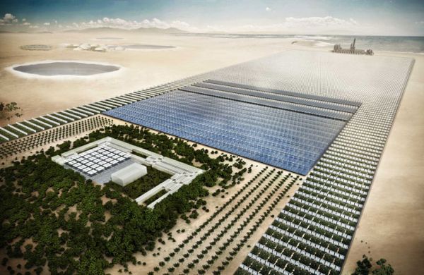 sahara project forest oasis