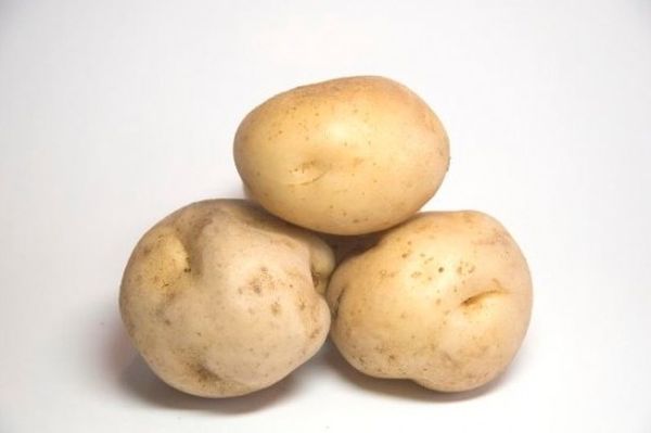 Saudi Potato Battery