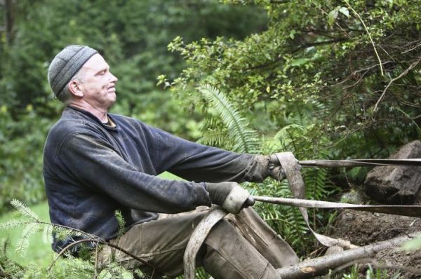 Seattle man rescues, relocates unwanted trees