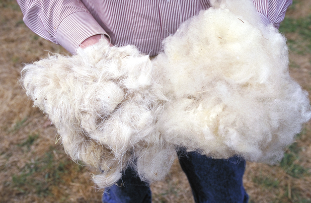 Sheep Wool Insulation