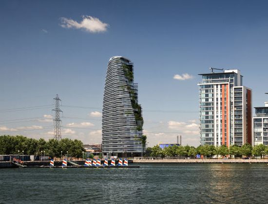 silvertree 1
