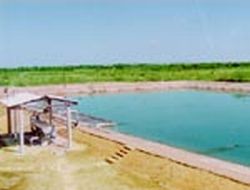 solar ponds for trapping solar energy 9