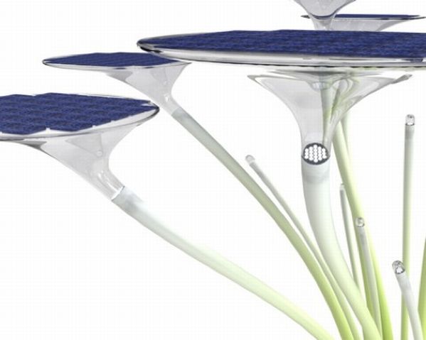 solar tree close up