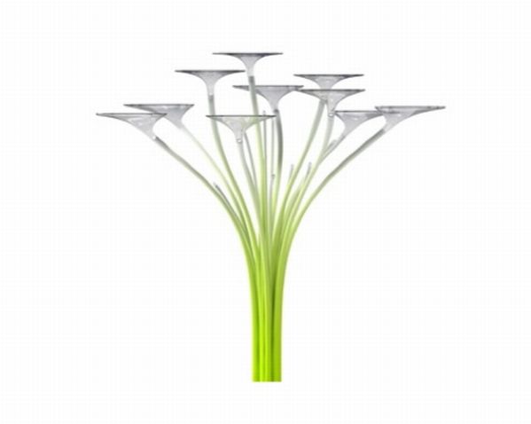 solar tree long