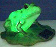 solar run frog