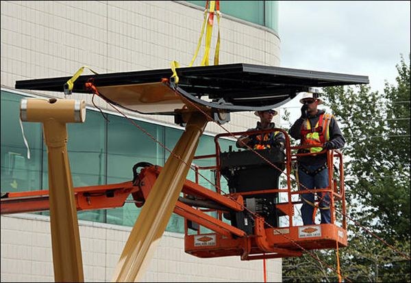 Solar Tree Installation