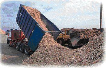 solid biomass and wastes