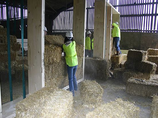 straw home 1