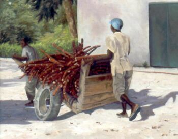 sugarcane harvest