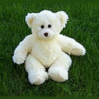 teddy bear7