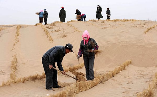 Tengger Desert