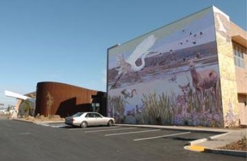 the murals on gaia napa valley wall 9