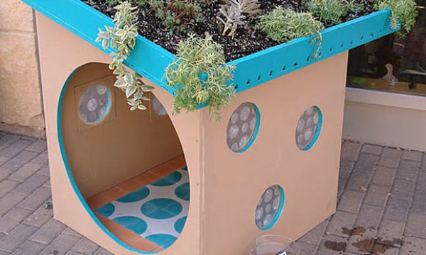 The recycled dog shed