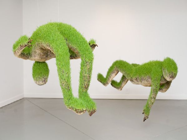 The Slow Transformation of Growing Grass Sculptures