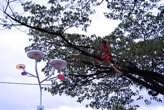tree solar streetlights in angkor wat cambodia 5