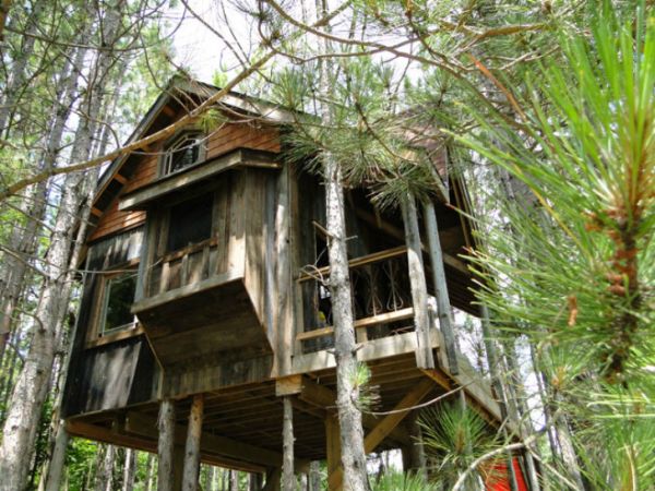 Tree House in Canada