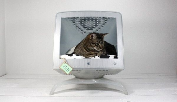 Upcycled Apple Computer Pet Bed