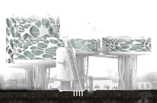urban farm 3