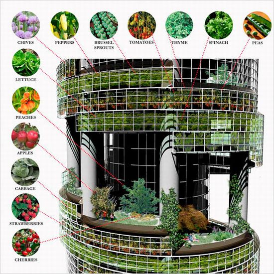 vertical farming JGBUE 7071