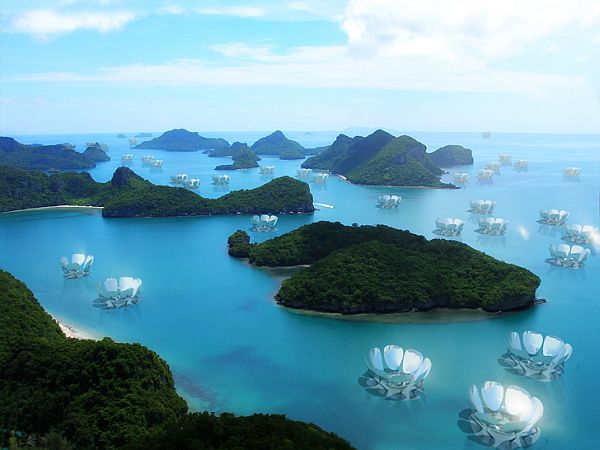 Water Lily Islands