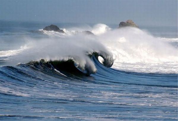 wave energy plant