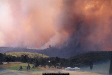 wild bush fire