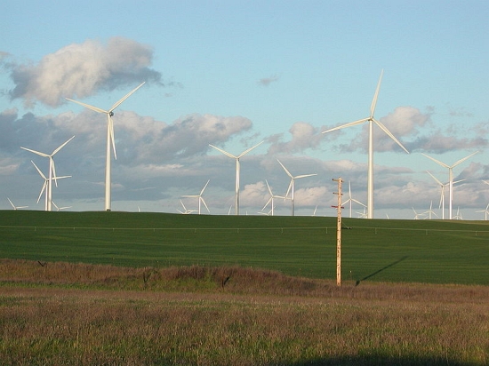 wind farm