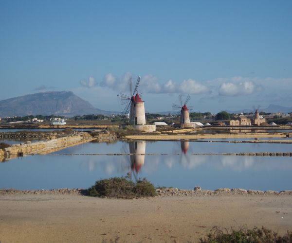 Wind mills pumping water