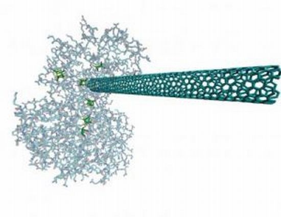 wiring up enzymes