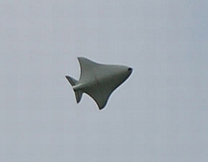 worlds first eco friendly jet takes flight