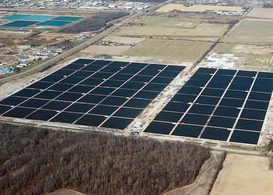 worlds largest solar facility now belongs to canad