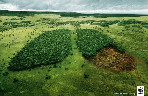 WWF Lungs Before It’s Too Late