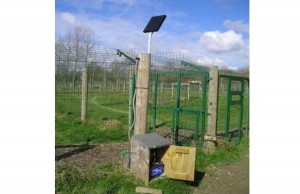 How to make solar electric fence - Ecofriend