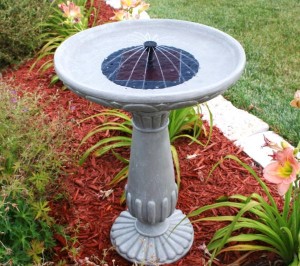 How to make a solar powered fountain - Ecofriend