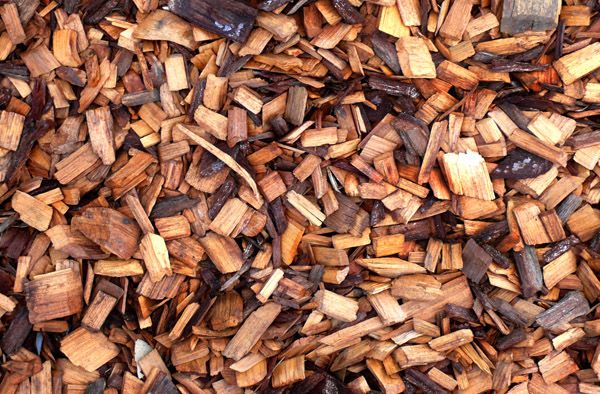 How To Use Wooden Chips In Garden Soil Ecofriend