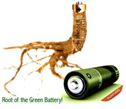 260_root_madder_battery