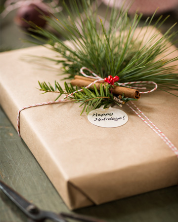 diy-eco-friendly-christmas-gift-vert