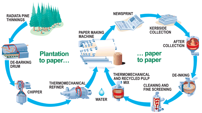 paper_recycling_diagram