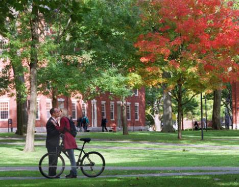 harvard-yard-green-campus