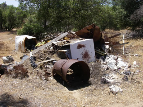 illegal_dumping