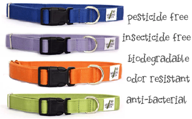 ecofriendlydogcollars