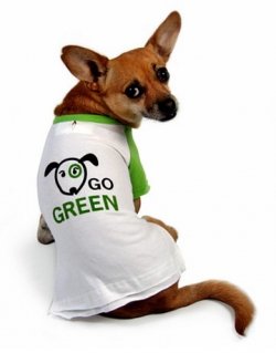 lens4506352_1241751610green-pet-ideas