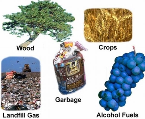 biomass_fuel