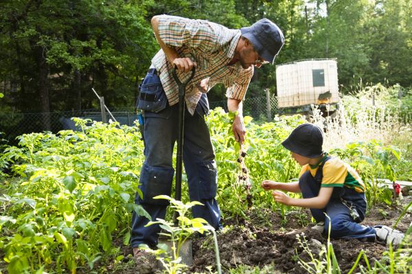 father and son gardening