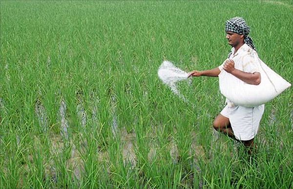 indian_fertilizer_sector