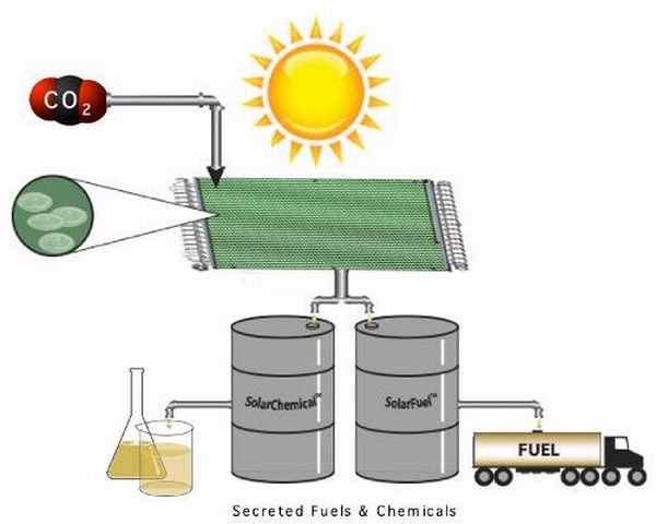 helioculture