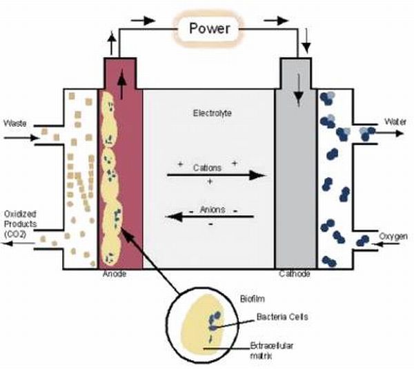 microbial_fuel_cell