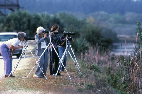 Older_women_enjoy_photographing_nature_and_wildlife